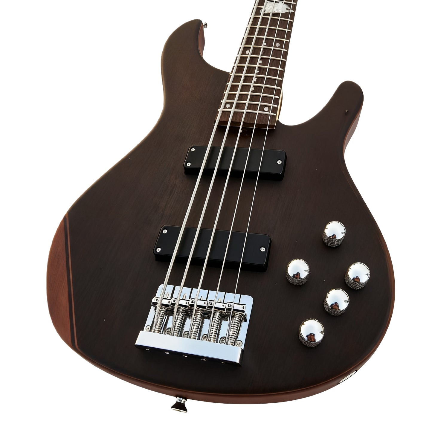 5-String Electric Bass Guitar – Suitable for Practice, Band Playing & Recording