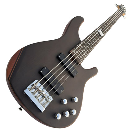 5-String Electric Bass Guitar – Suitable for Practice, Band Playing & Recording